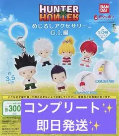 ハンターハンター めじるしアクセサリー GI編 全5種コンプリート