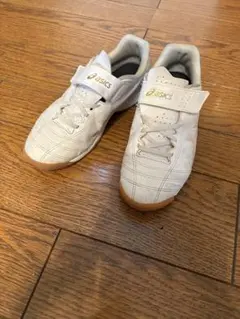 アシックス　フットサルシューズ　ジュニア　室内用　22cm