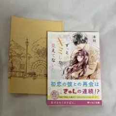 ずっとキミしか見えてない(野いちご文庫)