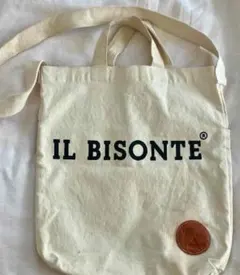 Item thumbnail for item a5380011-c186-4b2c-84ff-7e47f06be3b9