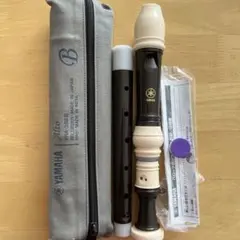 Item thumbnail for item d13d3ddb-5fe6-43d6-81c4-cdac02cb573c