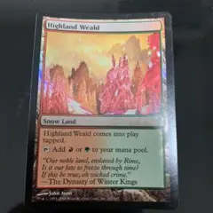 MTG 日本語版 Foil 融解の溶岩使い - メルカリ
