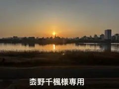 枩野千楓様専用ページ