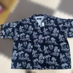 Item thumbnail for item 9271c067-8234-4b24-8e03-2a4f582bb2b1