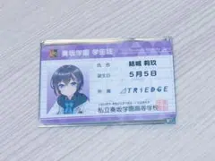 オンゲキ 学生証カード 17種　全種17枚セット オンゲキ 学生証カード 17種 コンプリートセット
