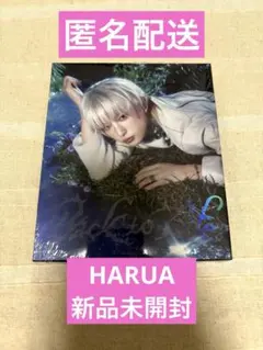 &TEAM BacktoLife HARUA ハルア　新品未開封