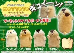マーモットのもっとっと ギュイーンJB　4種セット