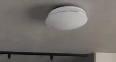 Item thumbnail for item 122b9763-6025-4080-b225-db47f973e5ef