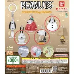 【匿名配送】PEANUTS　めじるしアクセサリー　FUNNY ver.