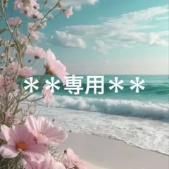 Aki＊○°・様 リクエスト 2点 まとめ商品