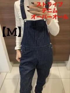 デニムストライプオーバーオール サロペット