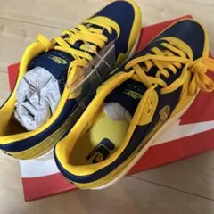 Nike W Air Max 1 PRM ミシガン大学カラー　メンズ28.5cm