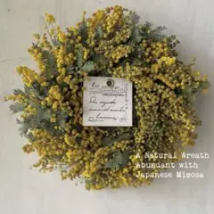 Item thumbnail for item 6a7cc89d-bb4a-4345-80dd-c6406b6dc139