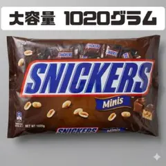 マース スニッカーズ ミニチュア 大容量1020gのサムネイル