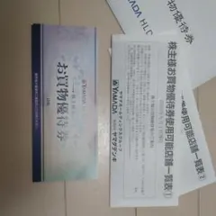 ヤマダ電機　5000円分　お買物優待券