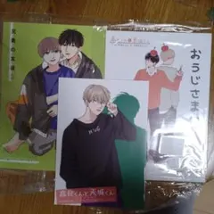 兄弟の友達・高良くんと天城くん とらのあな 未開封 小冊子