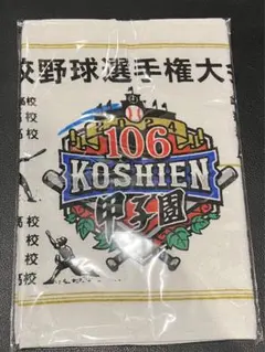 Item thumbnail for item 0a56853f-8e71-4fee-bd30-da0682516508