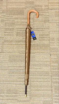 Item thumbnail for item 1c33f56f-971f-4004-bdf9-32a762082e92