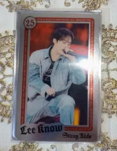 スキズ　リノ　dominATE　エコパスタジアム　ライブフォトカード