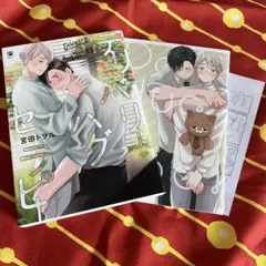 デリバリーハグセラピー【アニメイト限定特典小冊子／特典ペーパー】付き