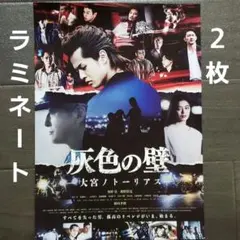 映画　灰色の壁　ラミネート+　チラシ　フライヤー　２枚