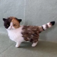 エキゾチックロングヘア子猫♡クルミちゃん♡アートドール♡ぬいぐるみ