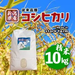 【令和7年産】【一等米】新潟県産従来品種コシヒカリ精米(白米)10kgのサムネイル