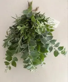 ミニスワッグ　グリーン　ナチュラル　ユーカリ　パールアカシア ドライフラワー