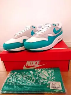 ナイキ エアマックス1 クリアジェイド 27.5cm※特典付き