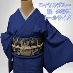 ★絽　色無地　ロイヤルブルー　夏物　紋なし　化繊　トールサイズ　裄68のサムネイル