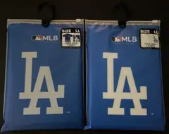 Item thumbnail for item 658902d2-ccda-4452-b565-b27c05267d85