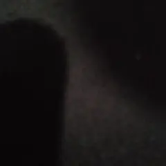 Item thumbnail for item b58f8f61-9681-454d-bc38-5da657faca3c