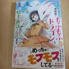 お疲れアラサーは異世界でもふもふドラゴンと騎士の世話をしています 1