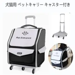 Item thumbnail for item 1f77b2a4-509c-482a-bfbe-6e89a9cfc05f