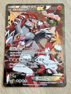 美品】ポケモンずかんカード グラードン＆カイオーガ プリズムクリア未
