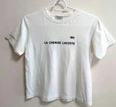 ラコステ レディース Tシャツ Mサイズ 綿100% 丸首 LACOSTE