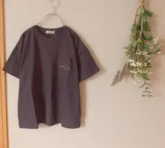 サマンサモスモス オーガニックコットンロゴ刺繍Tシャツ チャコールのサムネイル