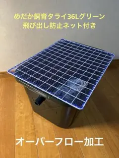 めだか飼育タライ36Lグリーン飛び出し防止ネット付き　オーバーフロー加工のサムネイル