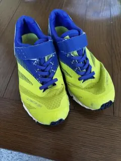 Item thumbnail for item 66bea32b-2e16-4501-a93a-9be4e1e653be