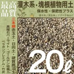 三本線赤玉土使用】アガベ・塊根植物用土「小粒」 20㍑グラキリス 現地