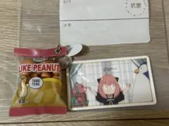 USJ スパイファミリー　コレクタブルグッズ　ピーナッツ