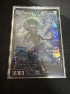 飛翔龍5000vt