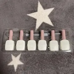 【新品】fiouto プロフェッショナルネイルアート 6本セット マグネット