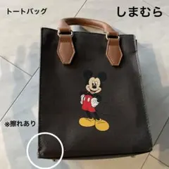 ディズニー　バック　手さげ　しまむら　ミッキーのサムネイル