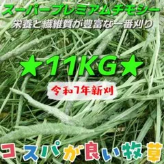 ★SPチモシー1番刈 11kg ◼︎小動物 ペットフード 牧草 うさぎ おやつのサムネイル