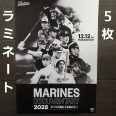 2025年最新】薔薇の素顔の人気アイテム - メルカリ