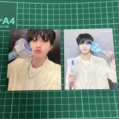 treasure ペンライト トレカ ハルト