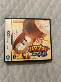 パワプロクンポケット13 ニンテンドーDSソフト
