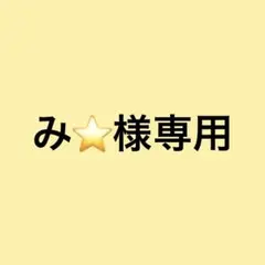 み⭐️様専用