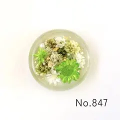 Item thumbnail for item eae01488-5d5b-40c9-8fe2-3a4740b9e10b